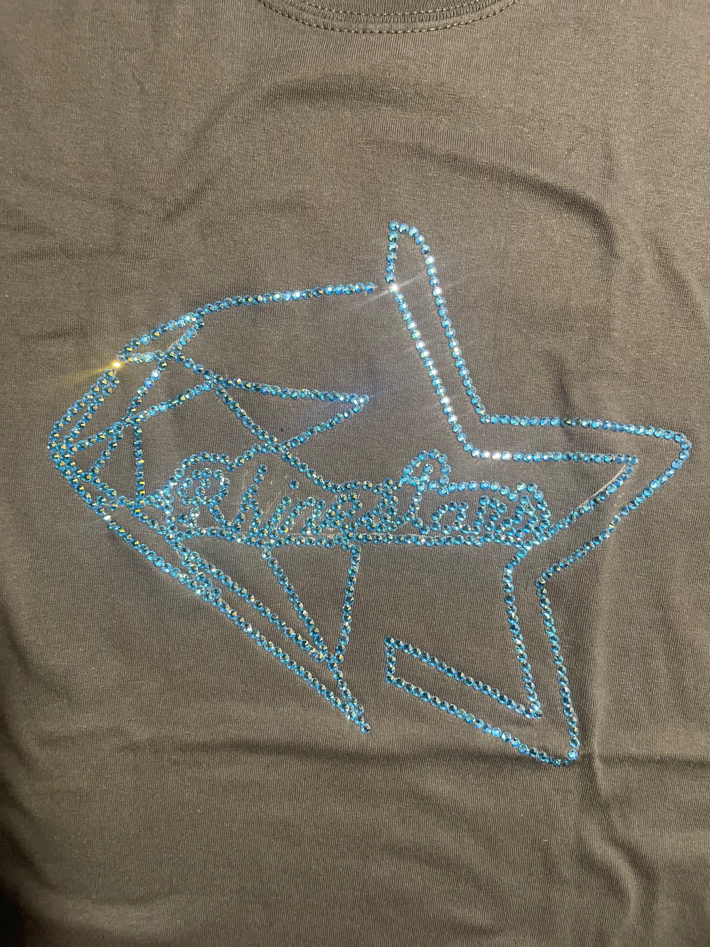 Rhinestars grey glacier Rhinestone shirt (M)